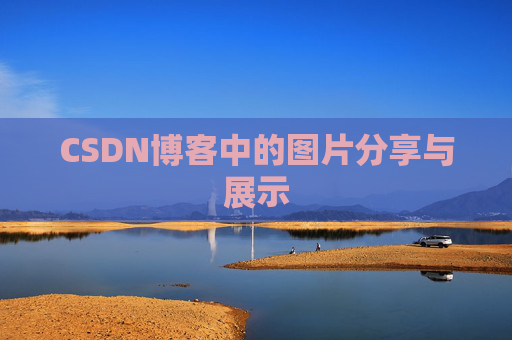 CSDN博客中的图片分享与展示